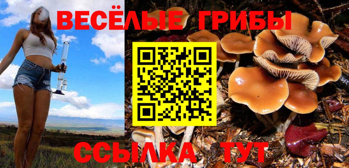Сосновый Бор  Галлюциногенные грибы ЛСД  Вход с VPN 