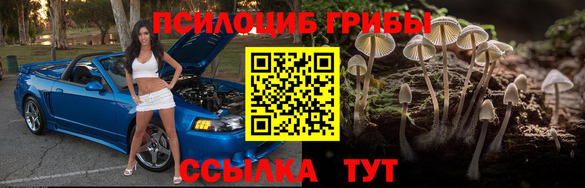 Галлюциногенные грибы мицелий Сосновый Бор